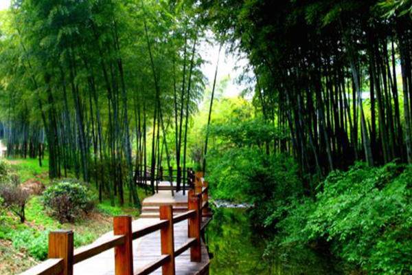 江苏十大最好玩的地方:翠谷庄园上榜 每处都温婉迷人又有趣插图5