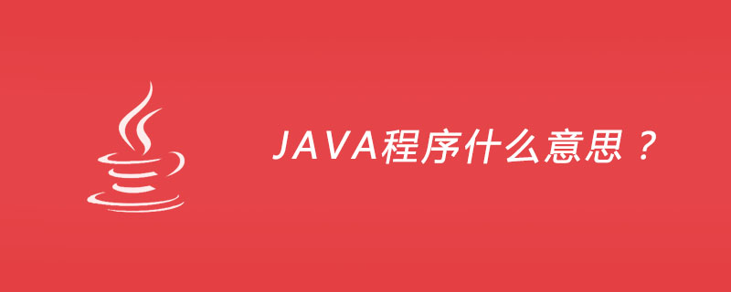JAVA程序什么意思？插图