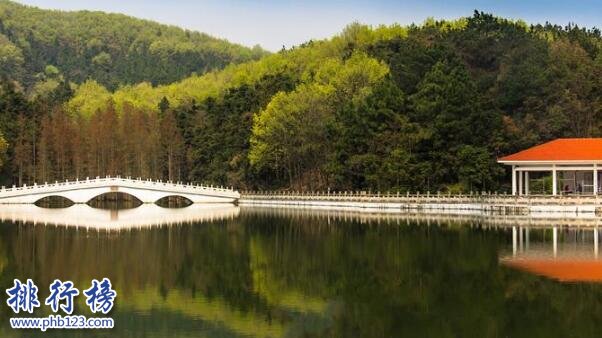 武汉秋天去哪玩？盘点适合秋天玩的武汉景点插图5