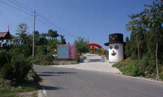 焦作好玩的地方排行榜 云台山风景独好，陈家沟太极拳文化浓厚插图7