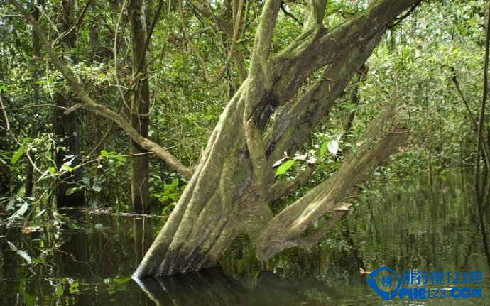 盘点全球即将消失的十大美景插图7