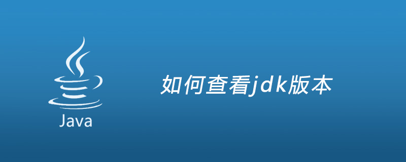 如何查看jdk版本插图