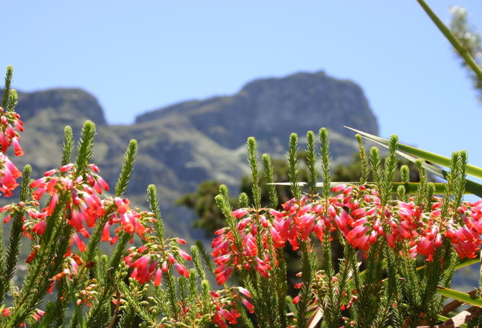 全球五大花园排行榜 美到令人惊叹，大自然的魅力插图3