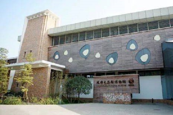 成都旅游必去的网红景点：锦里古街上榜，第十夜生活地标插图5