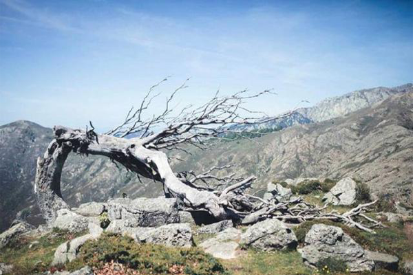 世界十大徒步步道 世界这么大，不去走走怎么知道它有多美插图4