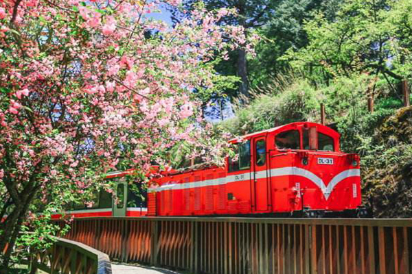 台湾十大爬山好去处：阿里山只排第十 第一名是台湾最高峰插图9