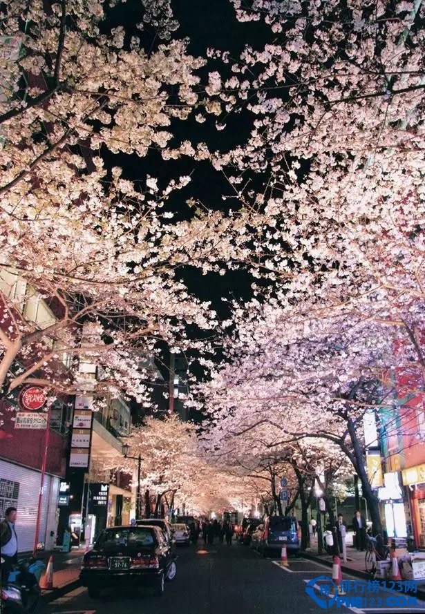 2016日本全国赏樱名所TOP10插图6