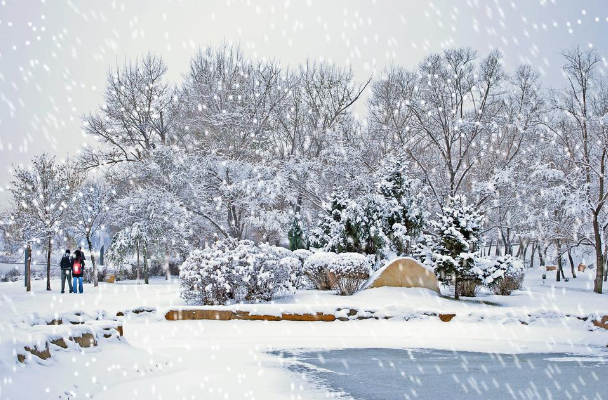 2021年冰雪旅游十佳城市排行榜：沈阳市上榜，东北着实强插图3