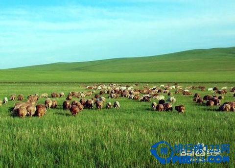 2016河北旅游景点排行 河北旅游必去景点推荐插图4