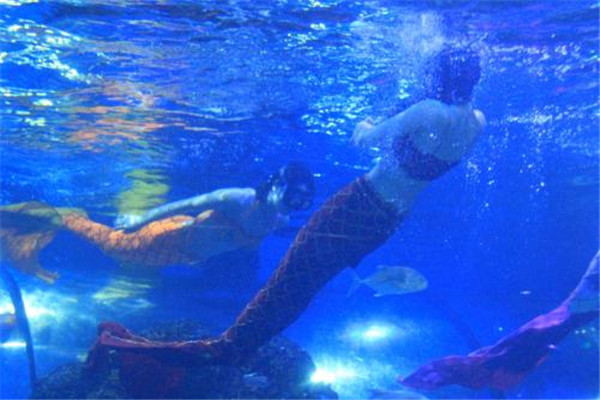 重庆十大热门动植物园:南山植物园上榜，第十在室内插图5