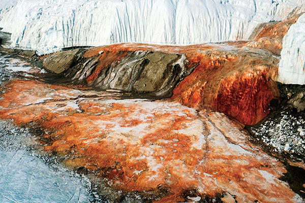 世界十大冰川排名：第二名是世界十大奇观之一 每个都超美插图1