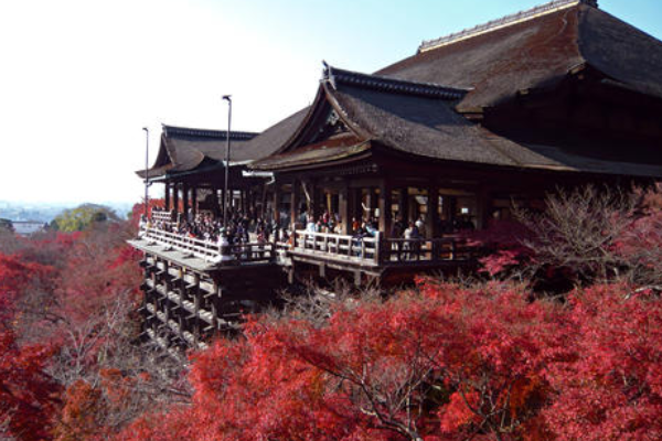 日本十大最受欢迎景点 富士山只排第八，涩谷是年轻人聚集地插图8