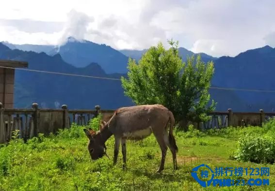 中国十大最美旅行地插图6