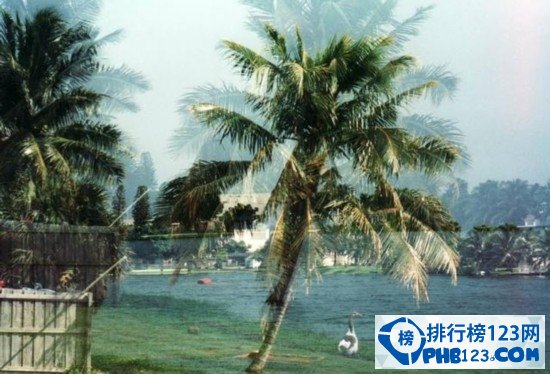 全球十大海岛蜜月旅游景点插图15