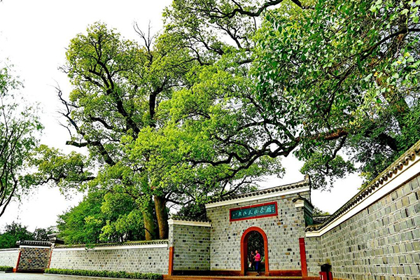 南昌最好玩的十大地方：安义古村群上榜 民风淳朴十分僻静插图7