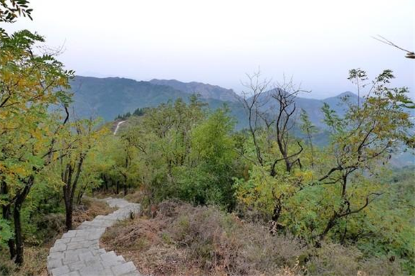 滨州十大景区排行榜：颐园上榜，集古村落第一插图7