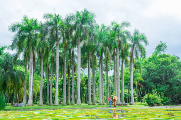云南十大著名景点：丽江古城上榜，它是世界第三大工程之一插图5