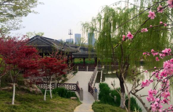 泰州好玩的地方排行榜 泰州老街夜晚必去，溱潼古镇别错过插图4