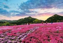 山东十大爬山好去处:东岳泰山上榜 第二是国内知名的东海仙山|爱分享