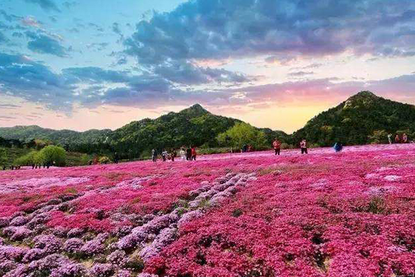 山东十大爬山好去处:东岳泰山上榜 第二是国内知名的东海仙山插图9