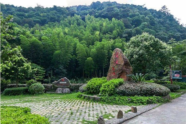 南平旅游必去十大景点 青龙瀑布、大红袍、武夷山上榜插图1