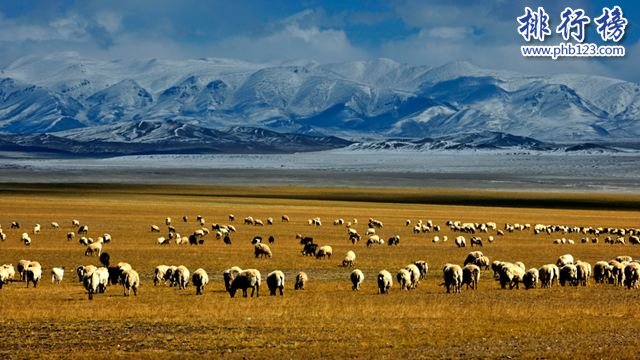 中国四大无人区:传说中有僵尸出没的生命禁区插图6