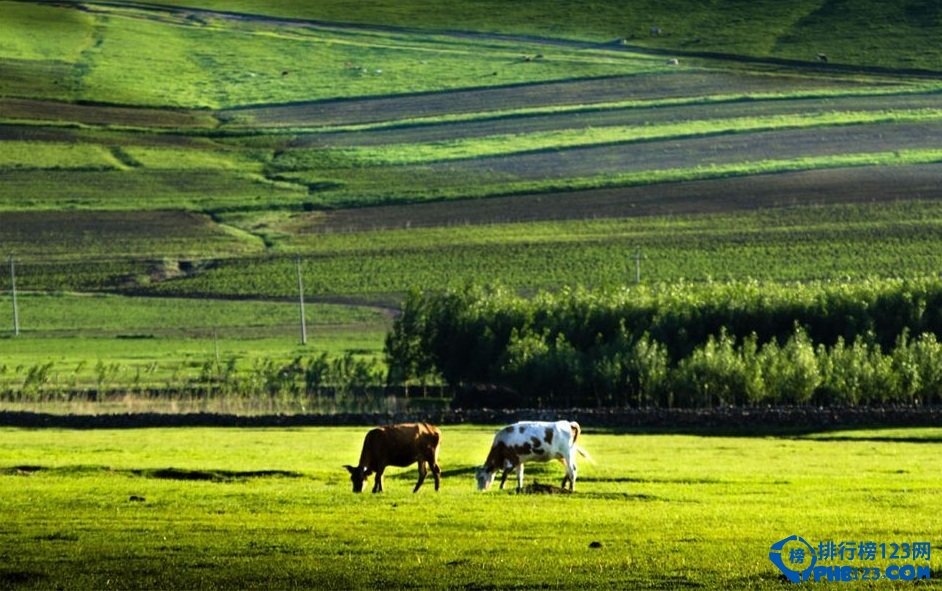 中国最适合洗肺10大城市，第一名果然是它插图8