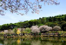 湖南十大爬山好去处排行榜:第一名被评为中国最美丹霞地貌|爱分享