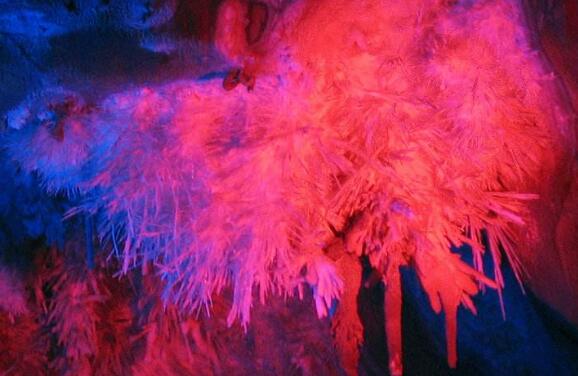 云浮好玩的地方排行榜 国恩寺上榜，蟠龙洞必去插图3