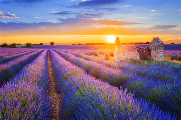 世界十大旅游景观：埃菲尔铁塔上榜、第九修建花了五个世纪插图