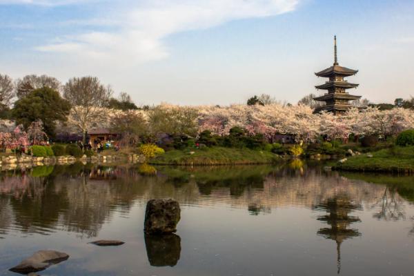 湖北十大必去的旅游景区，黄鹤楼上榜，第一堪称世界级别！插图4