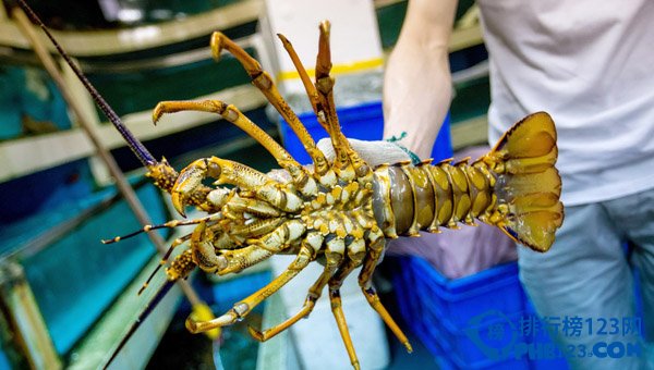 盘点国内十大最受吃货欢迎的海鲜圣地插图4