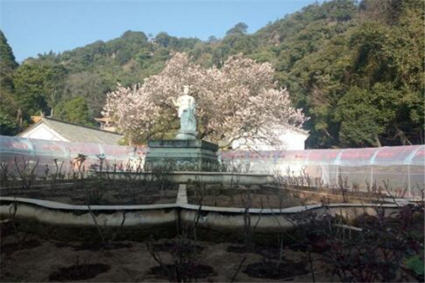 楚雄州最好玩的地方推荐 楚雄州好玩的地方排行榜插图3