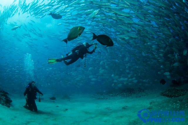 盘点全球最危险潜水区TOP10插图8