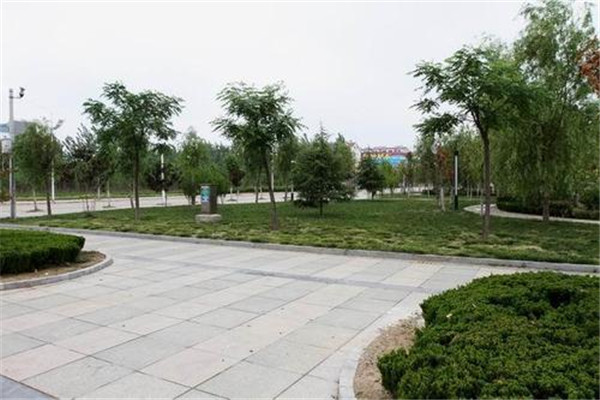 珠海十大公园广场排名:尖峰山公园第9，第10夜晚热闹插图7