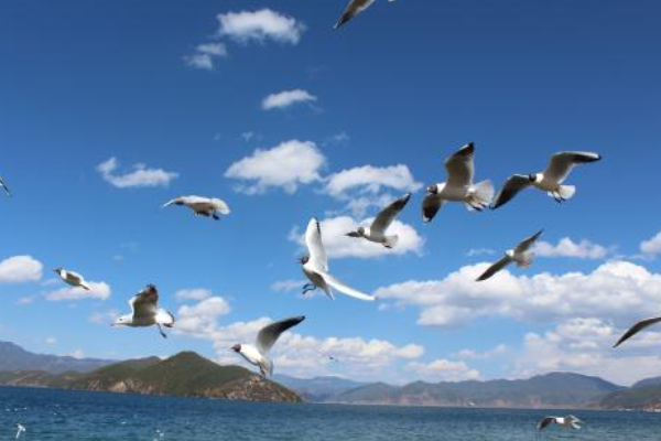 中国十大最美日落观赏地 黄山和华山分列第一二，西湖上榜插图5