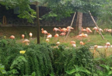 湖南十大最好玩的景点：橘子洲上榜它是夏季避暑胜地|爱分享