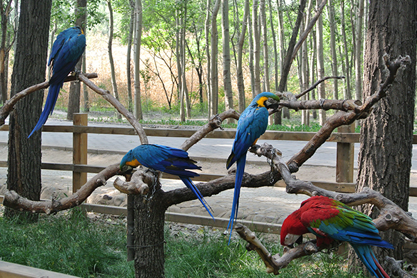 北京十大最好玩的景点:第一名游玩项目多 文化底蕴深厚插图6