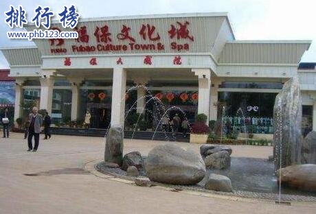 中国十大名村排名,第七名里有500多名千万富翁插图5