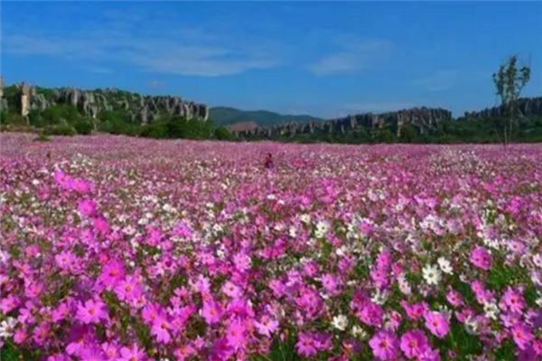 保山十大景区排行榜：腾冲湿地上榜，栖花岭团第七插图4