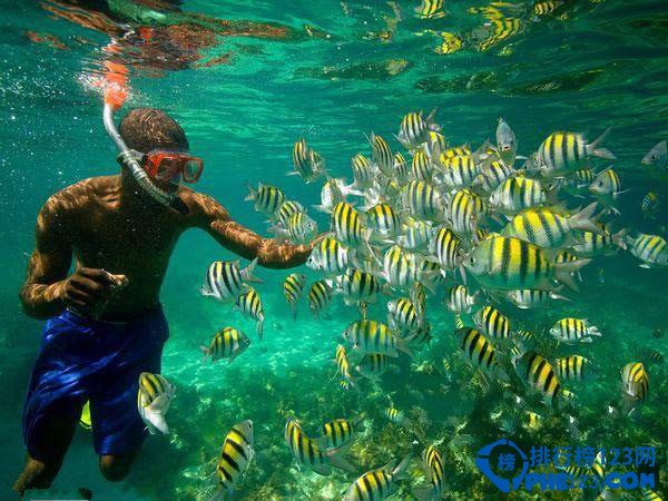 盘点马尔代夫旅游十大浪漫玩法插图2