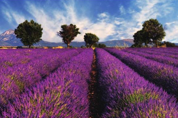 全球十大蜜月圣地，婚后浪漫的第一站插图2