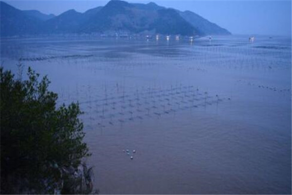 宁德好玩的地方推荐 宁德旅游必去十大景点插图3