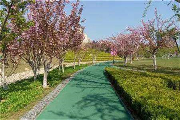 珠海十大公园广场排名:尖峰山公园第9，第10夜晚热闹插图2