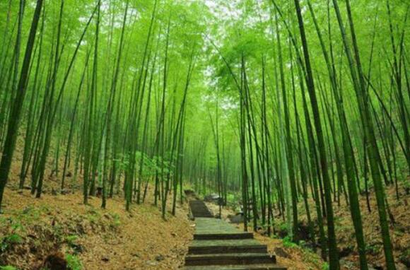 常州好玩的地方排行榜 杨桥古镇和焦溪古镇你更喜欢哪个插图