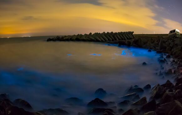 东营好玩的地方排行榜 东营十大最好玩的地方推荐插图5