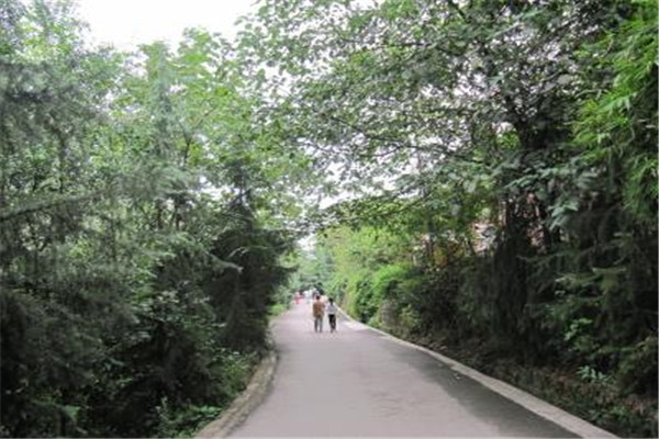 重庆十大热门动植物园:南山植物园上榜，第十在室内插图4