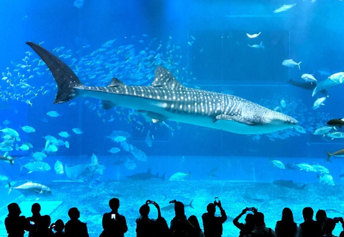 世界十大最有趣的景点 巴厘岛仅列第九，大峡谷人气最高插图7