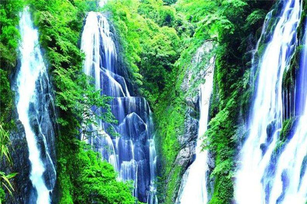 广东十大冬季旅游好去处：天露山上榜，第十冬季观候鸟插图2