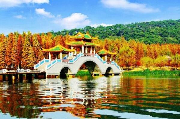 中国十大最美湿地排行榜 杭州西溪湿地上榜，第一在内蒙古插图8